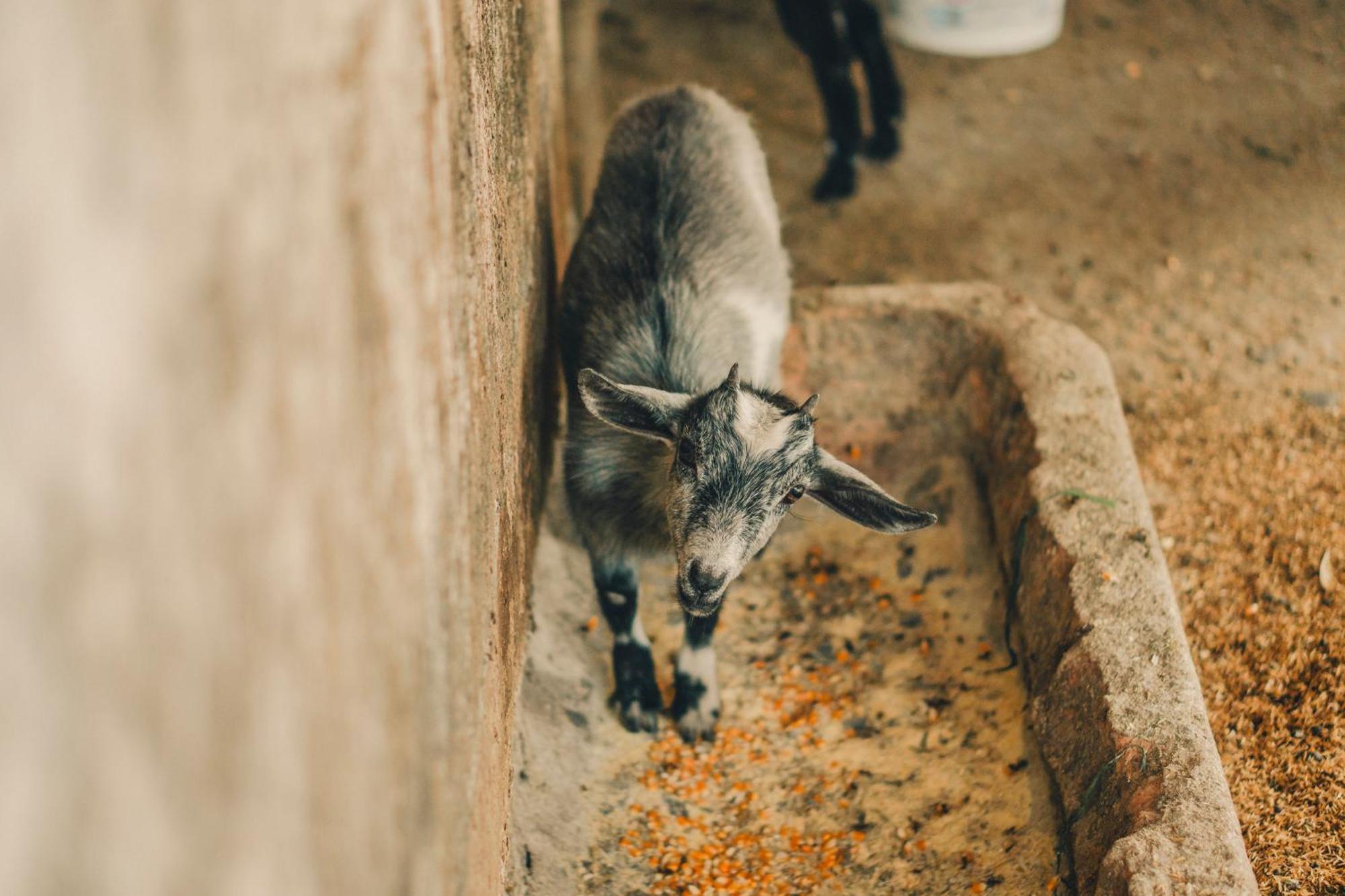 Hotel Fazenda Ramon Sao Lourenco  Dış mekan fotoğraf